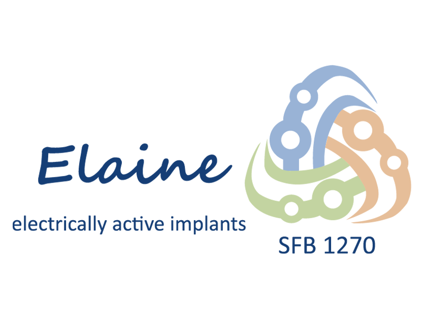 SFB 1270 Elaine