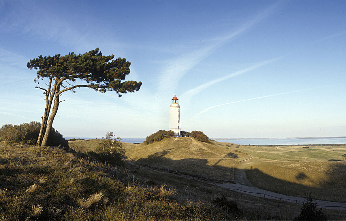 Bild Leuchtturm