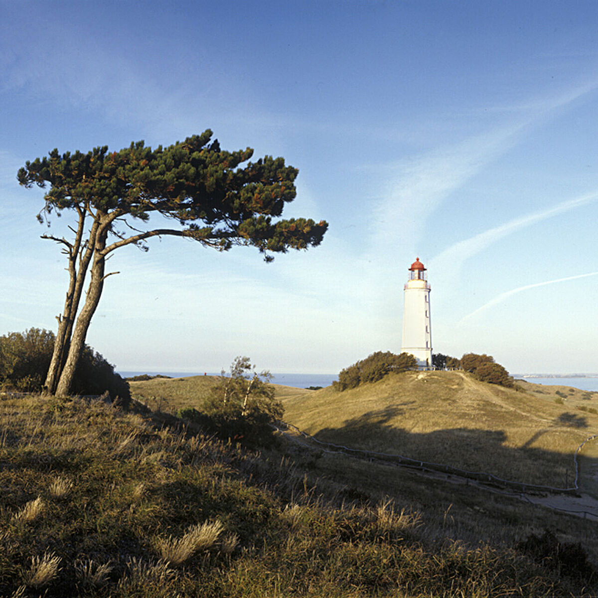 Bild Leuchtturm