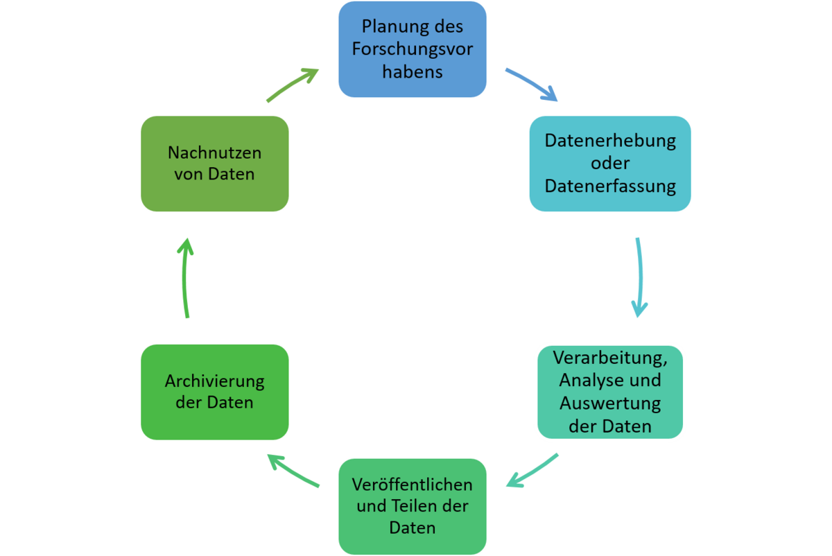 Forschungsdaten-Lebenszyklus