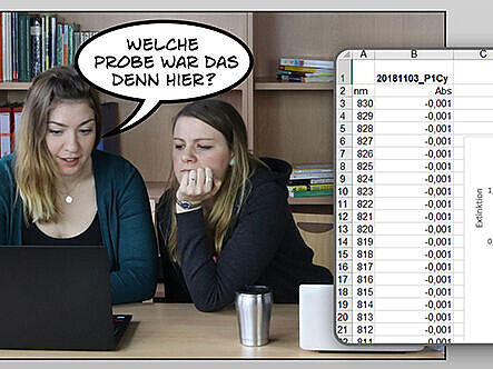 Forschungsdatenmanagement